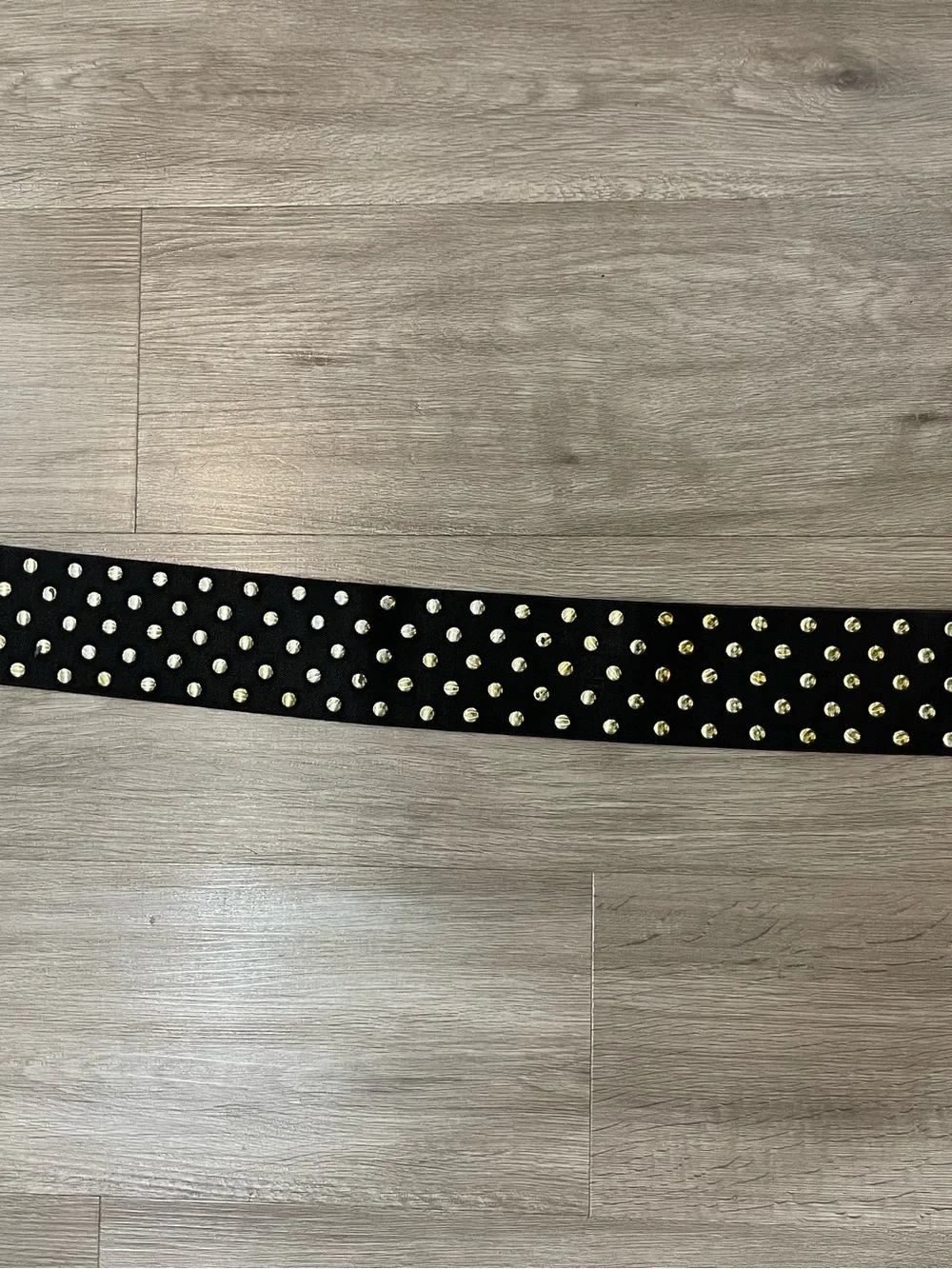 Betsey Johnson Black Elastic Studded Waist Belt with Gold Hardware